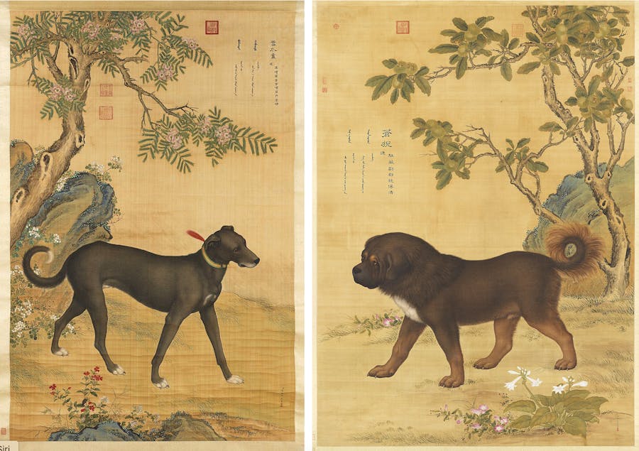 The Artistic Bond： Dogs in Paintings Through the Ages